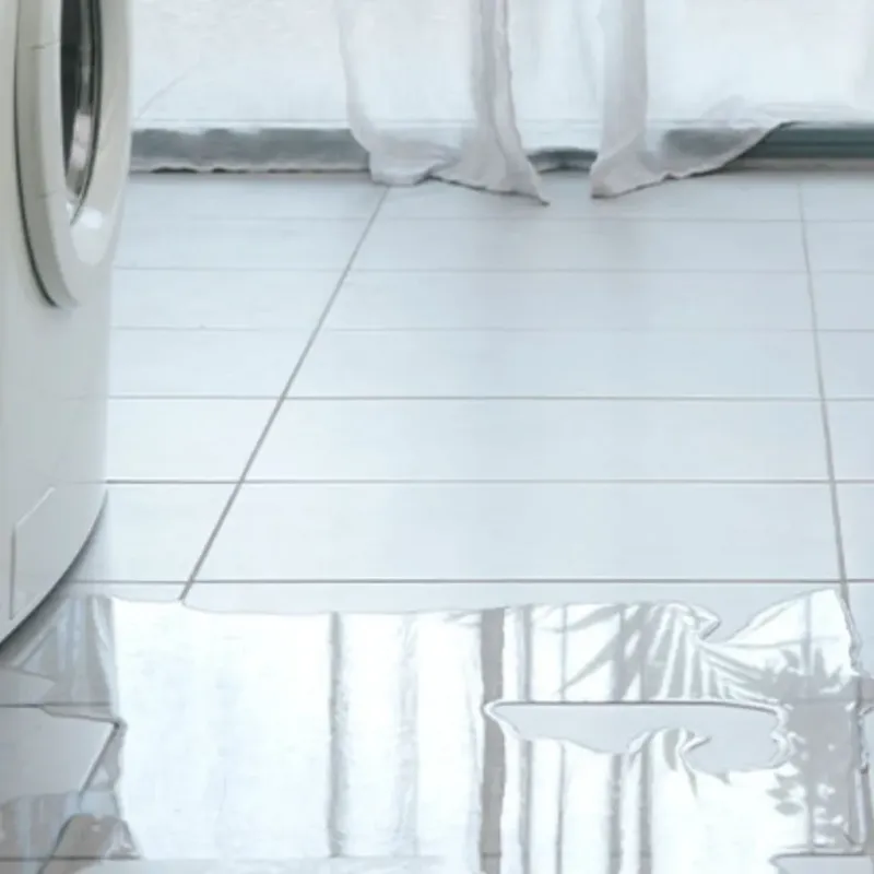 Appliance Leak Cleanup in Alachua, FL